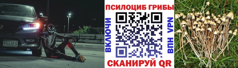 Псилоцибиновые грибы Cubensis  Гулькевичи 