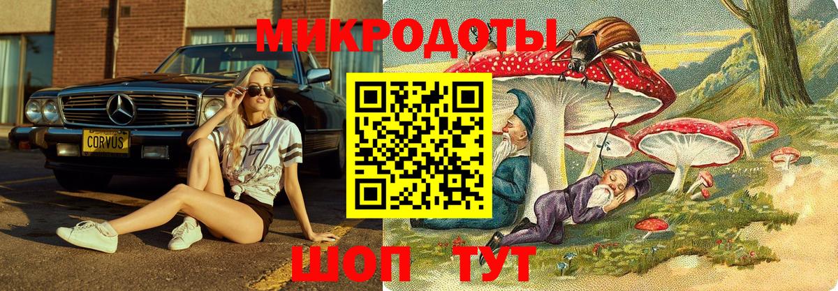 Галлюциногенные грибы прущие грибы  Вход с VPN  как найти закладки  Гулькевичи 