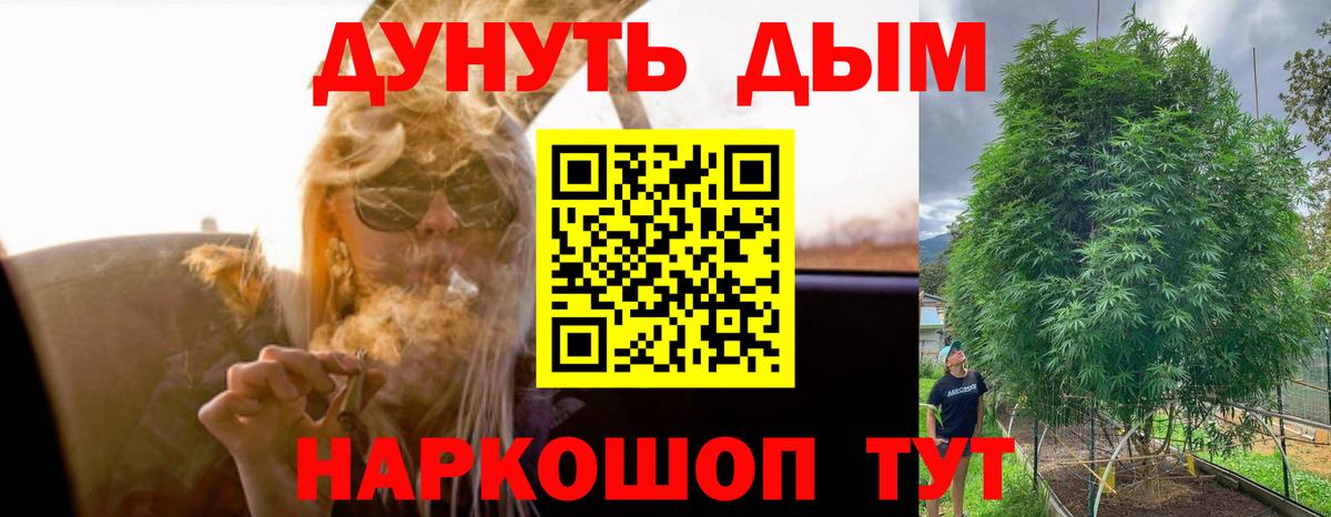 Бошки Шишки марихуана  Канабис ГИДРОПОН  Каннабис White Widow  Гулькевичи  МАРИХУАНА White Widow 